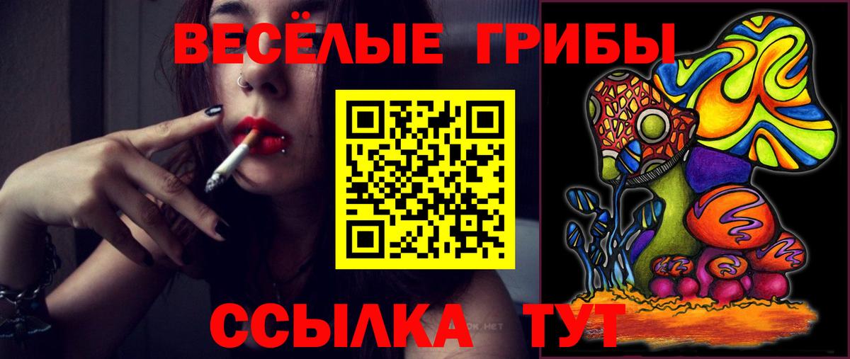 Псилоцибиновые грибы Psilocybe  Вход с VPN  Сочи  наркошоп  Псилоцибиновые грибы прущие грибы 